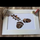 Pheasant Feather & Cartridge Countryside Artwork –  