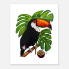 Toco Toucan Art Print, Tropical Bird Wall Art, Giclée Fine Art Print - 11x14” 