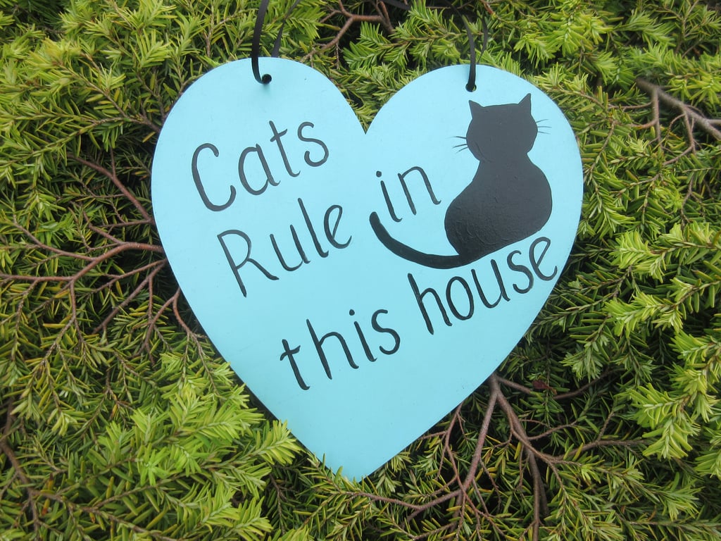 Cat Heart Hanging Decoration Fun Pet Sign for your Home 