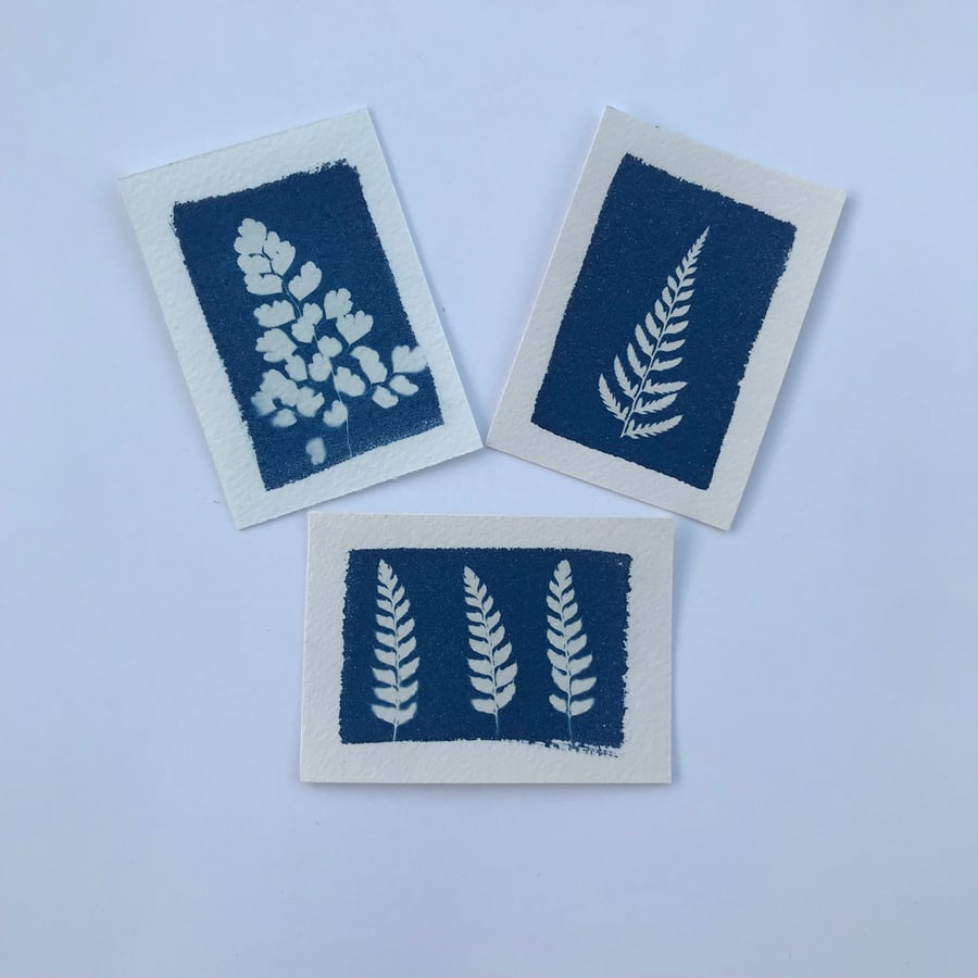 ACEO- Set of 3 Botanical Photograms all Original