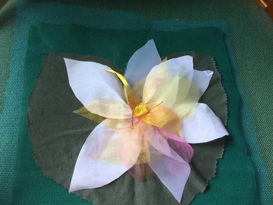 Water Lily