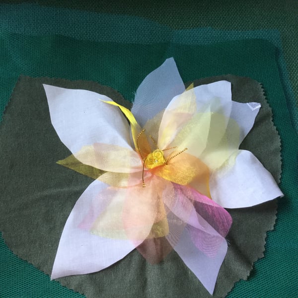 Water Lily