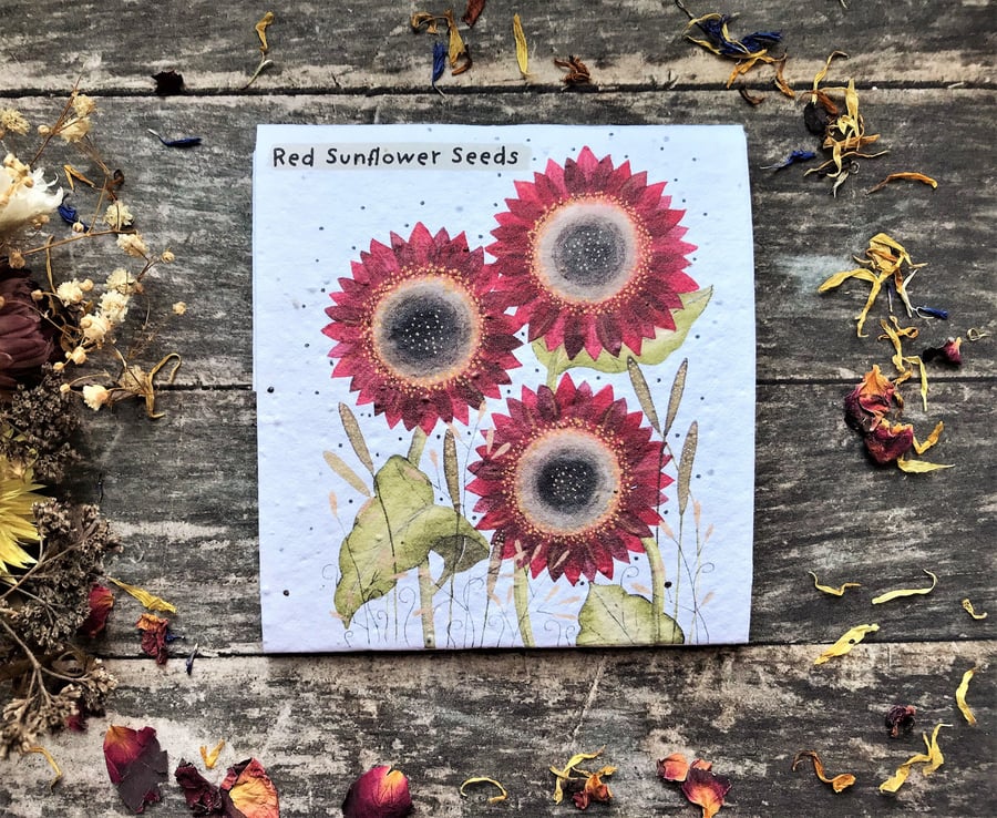 Pack of Red Sunflower Seeds, Illustrated nature inspired gift