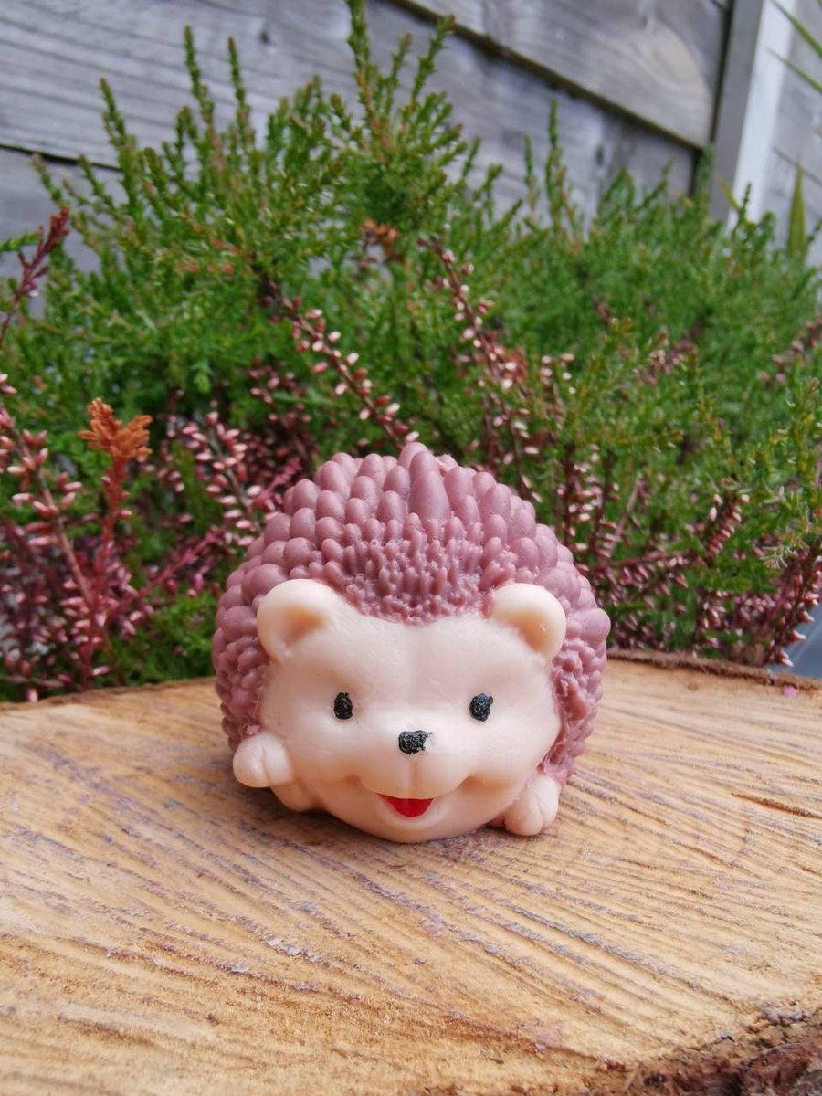 Hedgehog