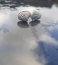 Venus Shell Stud Earrings - Image 10