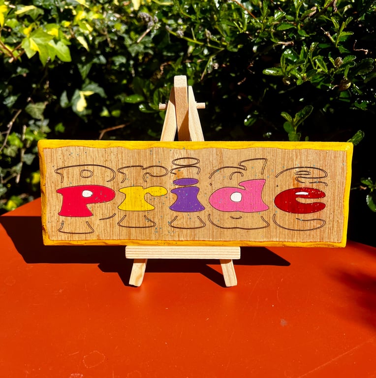  Pride Wooden Sign  Bespoke Handmade LGBTQ Wall Art  Colourful Rainbow Quote 
