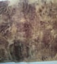 Fine wool eco printed maroon leaves scarf - Image 6