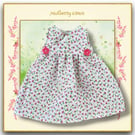 Pocket full of Posies Crossover Dress