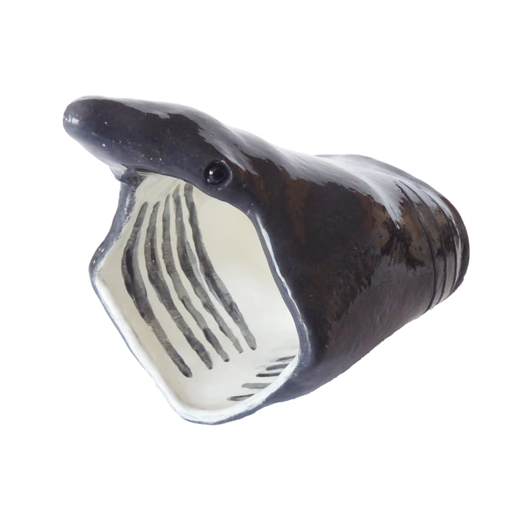 Basking Shark Ceramic Pot - Handmade