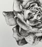 Flower from a garden - Image 3