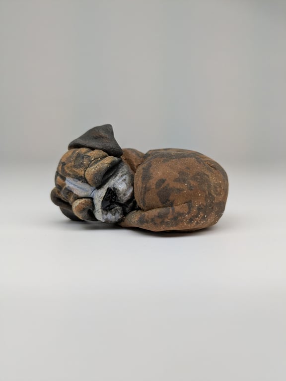 Mini Curled Boxer - Brindle