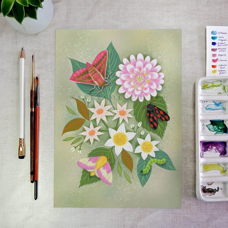 Floral Moths Botanical art print