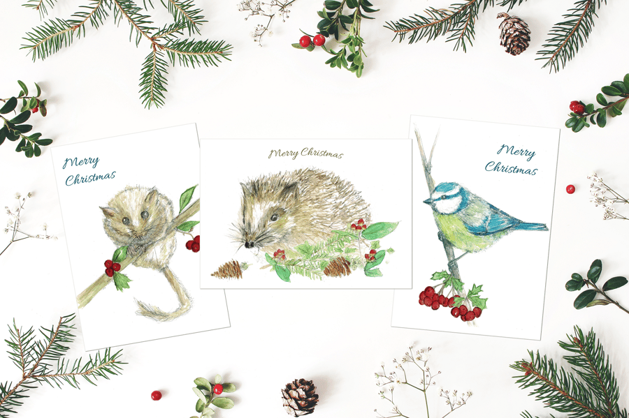 Christmas A6 woodland card selection - dormouse - hedgehog and bluetit