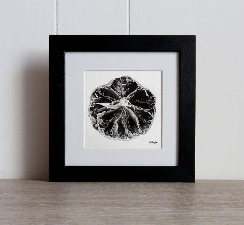 Lime original charcoal pencil drawing, foodie gift food art