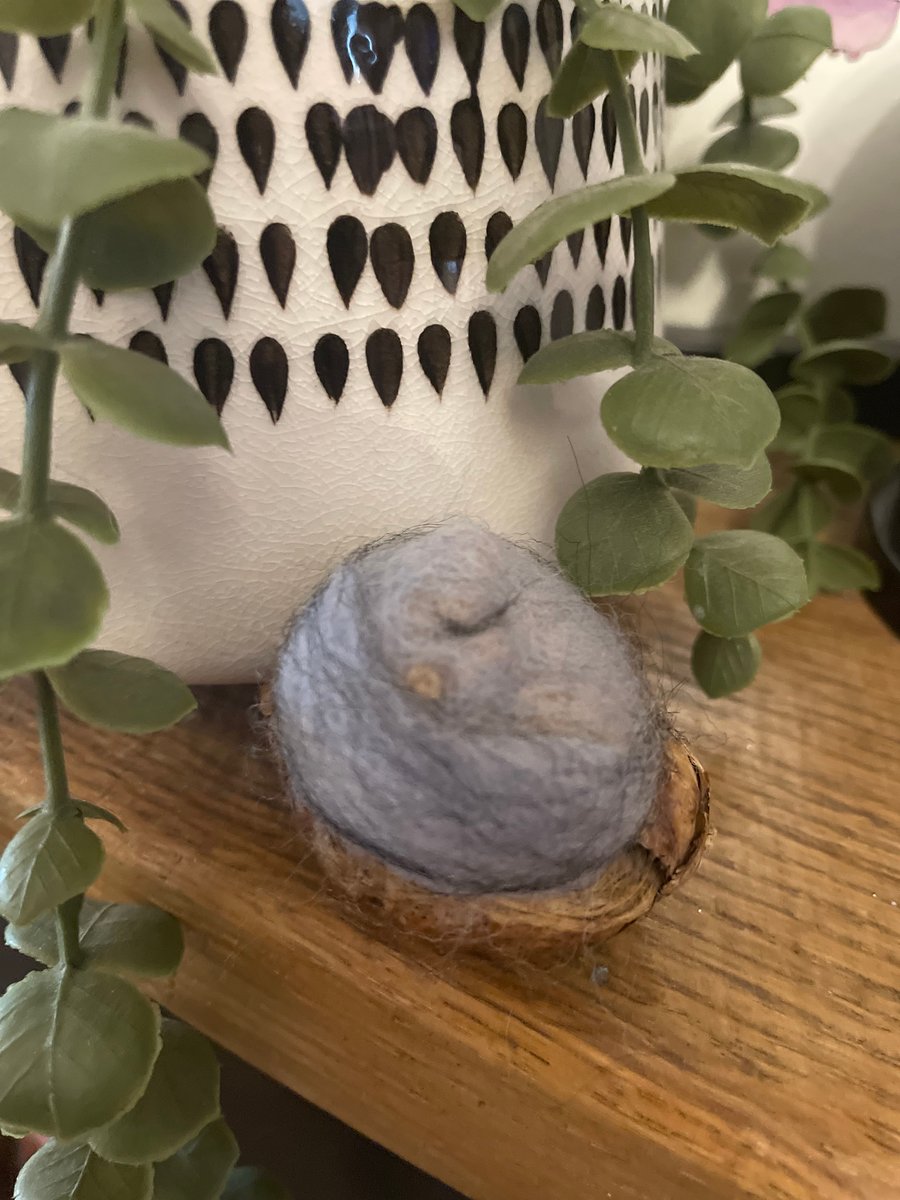 Needle felted sleeping squirrel 
