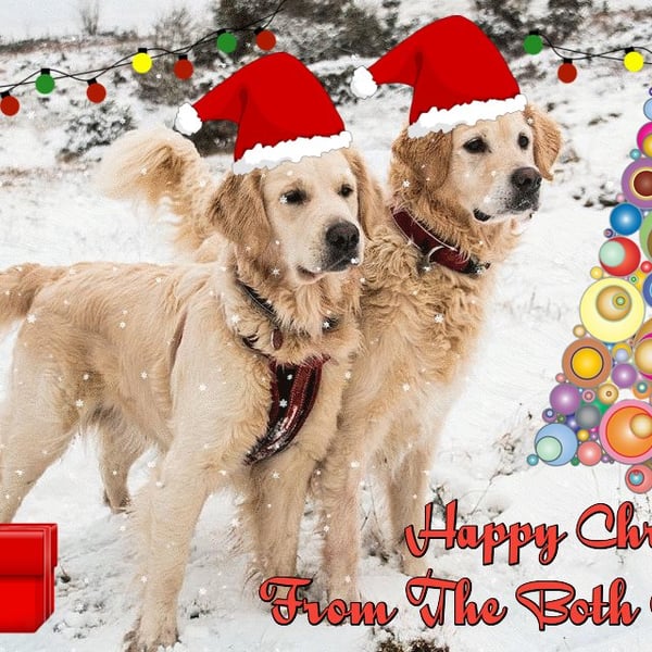 Happy Christmas From The Both Of Us Retriever Dogs Card A5