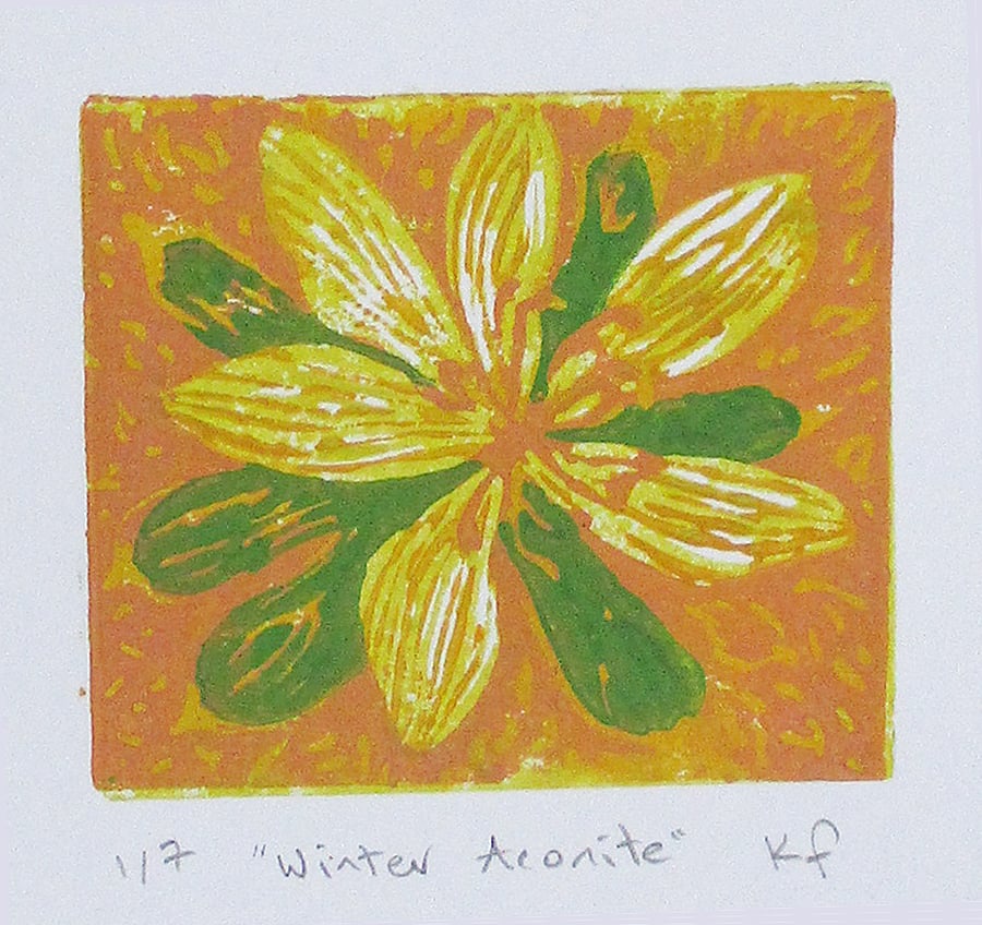 Winter Aconite Flower - Original Hand Pressed Linocut Print Limited Edition