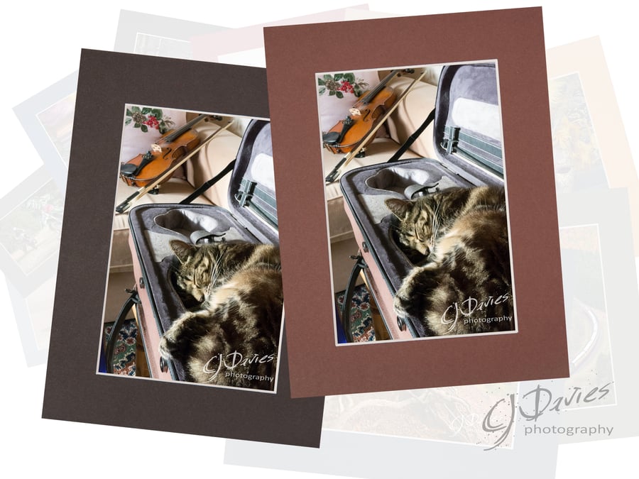 CJ204 - Role reversal