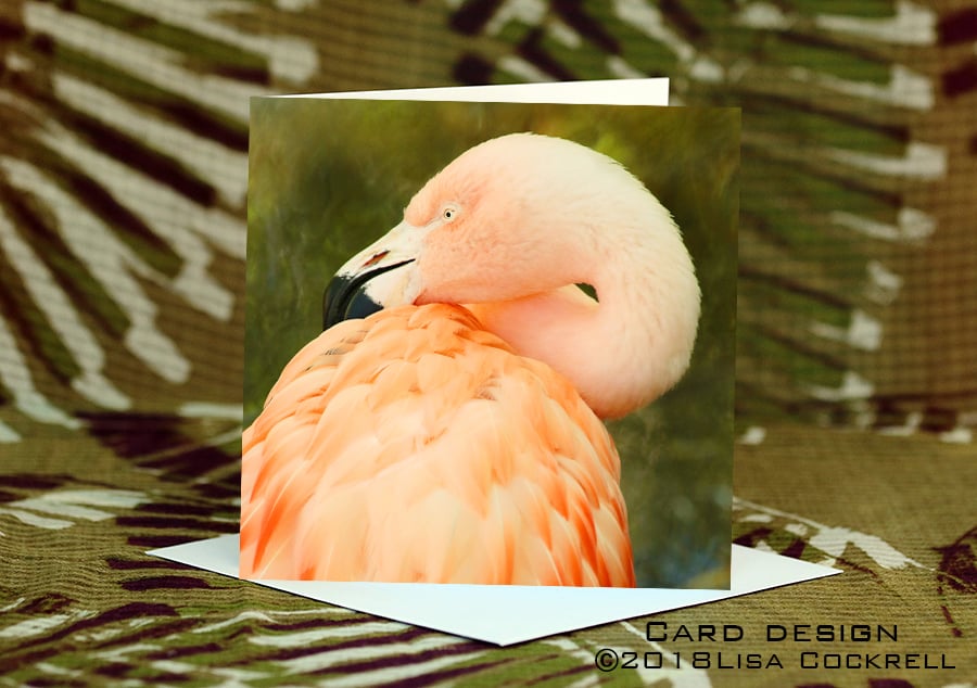 Exclusive Handmade Pink Flamingo Greetings Card on Archive Photo Paper