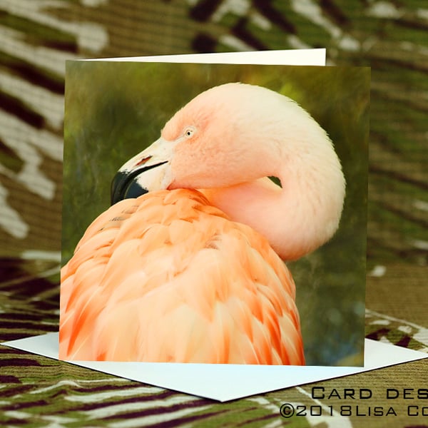 Exclusive Handmade Pink Flamingo Greetings Card on Archive Photo Paper