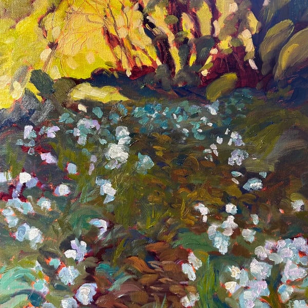 Wild Garlic Spring