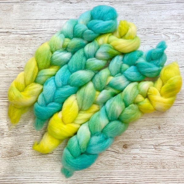 Cheviot Hand Dyed Spinning Fibre 50g