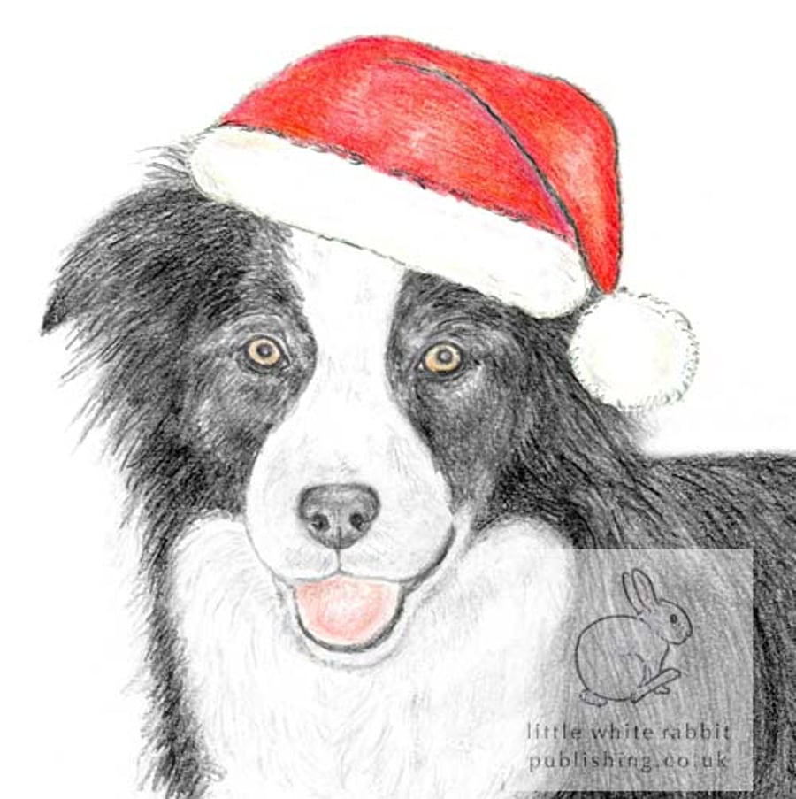 Ivy the Border Collie - Christmas Hat Card