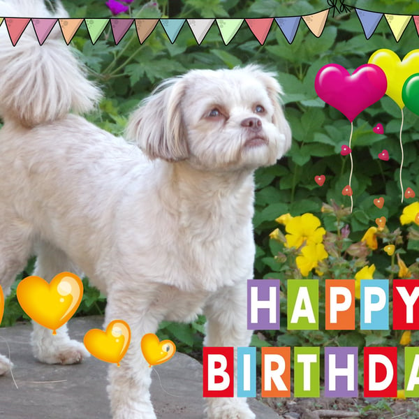 Cute Dog Happy Birthday Card A5