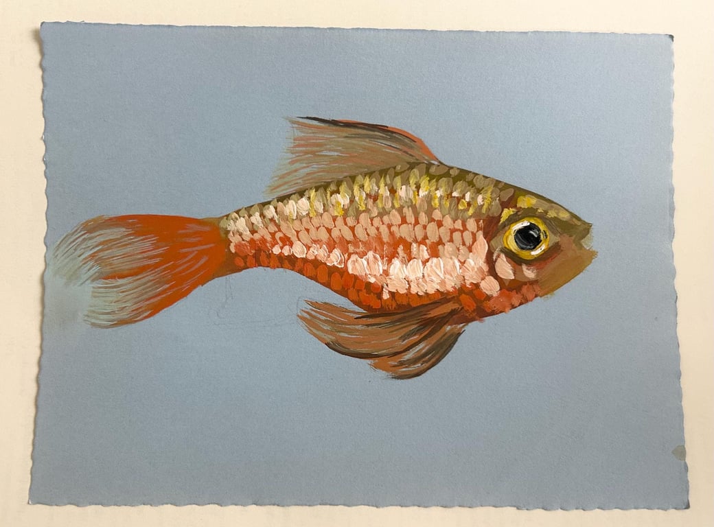 GOLDFISH painting in Gouache, A5