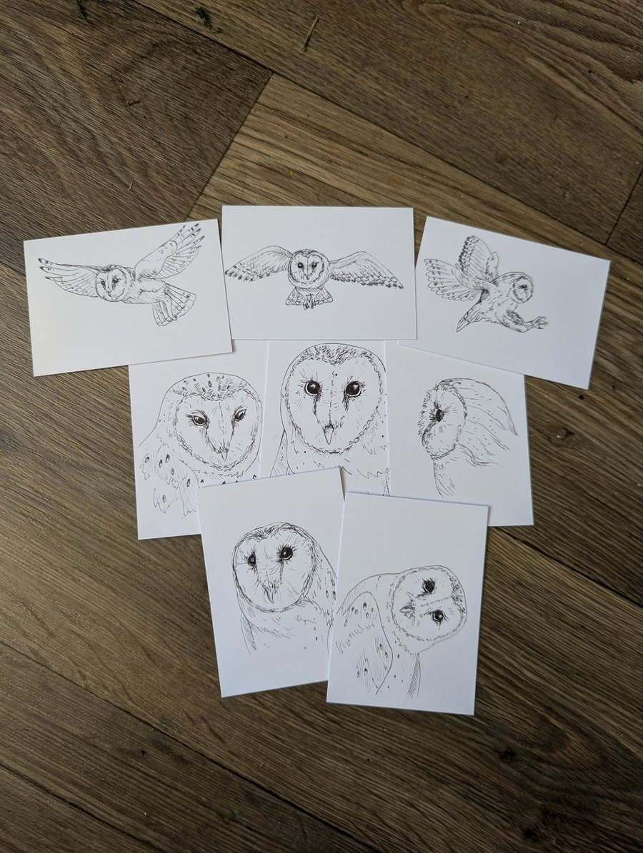 Barn Owl ACEO Sketches