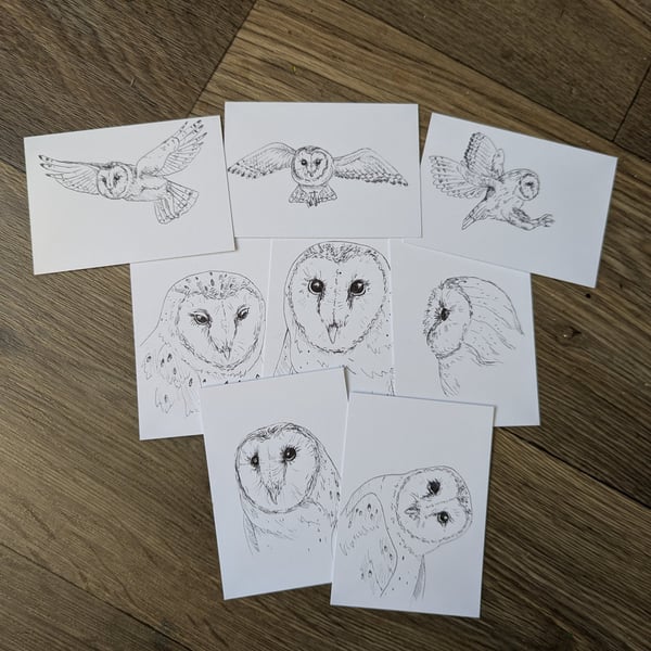 Barn Owl ACEO Sketches