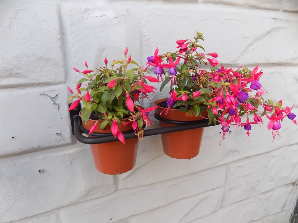 Window Plant Pot Display Rail...........Wrought Iron (Forged Steel) Hand Crafted