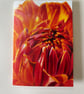 Pack of Floral cards  - Image 3