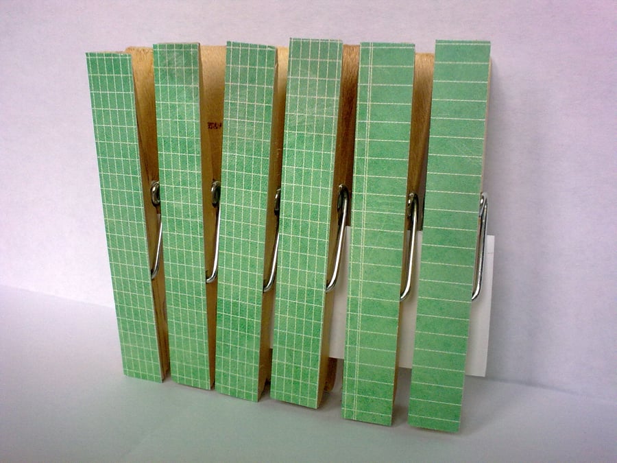 'Fourteen' Pegs Fridge Magnets Magnetic Card Mint Jotter