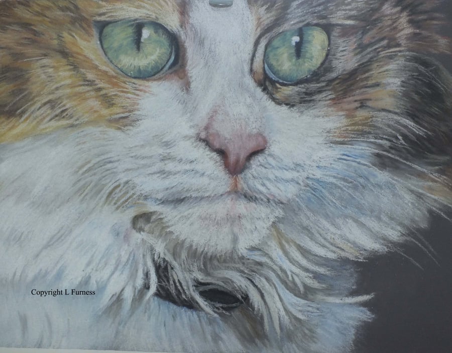 Limited edition Giclee print of a calico tortishell cat