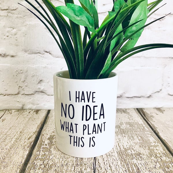 Funny Plant pot, humorous planter, cactus pot, funny plant pot, 
