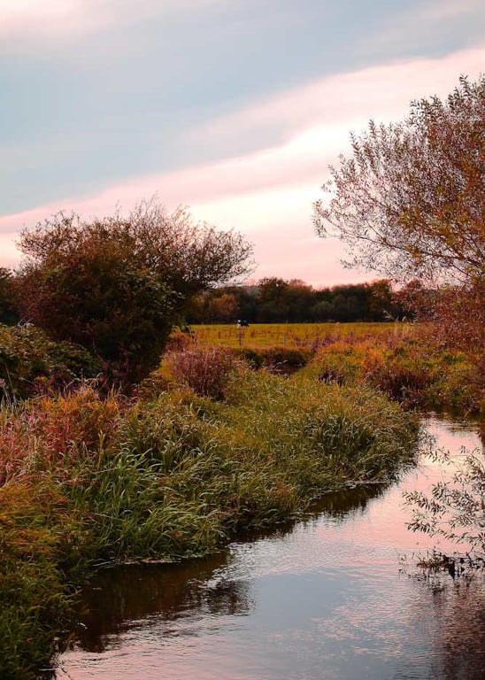 Picture River Frome, Dorchester Print, Dorset Photo, River