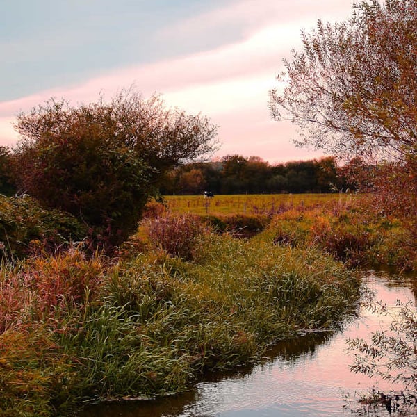Picture River Frome, Dorchester Print, Dorset Photo, River