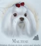 Dachshund, Yorkie, Maltese, long haired Dachshund portrait cushion - Image 2