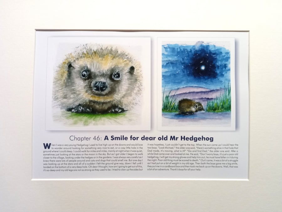 Original hand painted watercolour print of a sussex southdowns Hedgehog