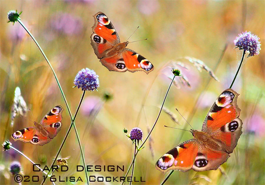 Exclusive Butterfly Meadow Greetings Card