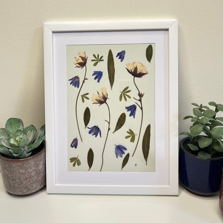 Framed Real Pressed Flower and Foliage Botanical Art