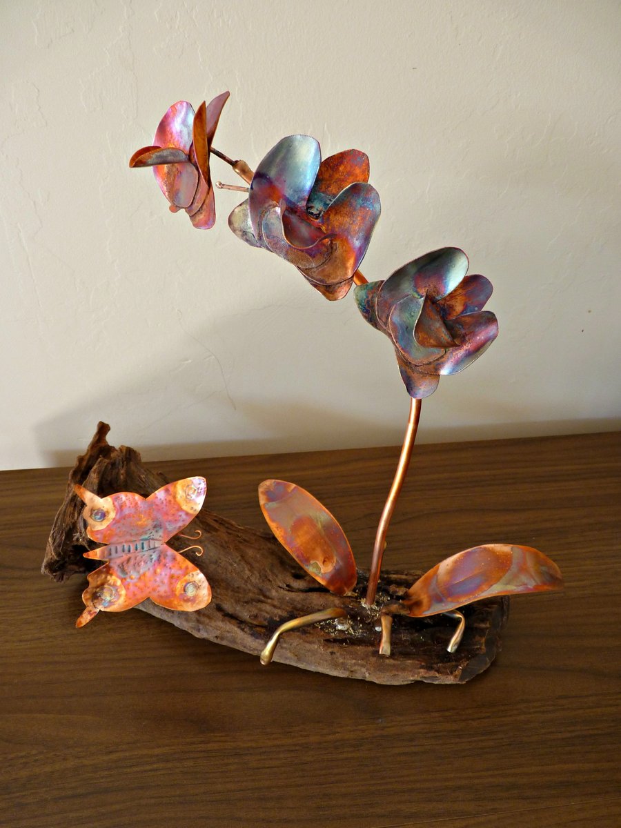 Copper orchid