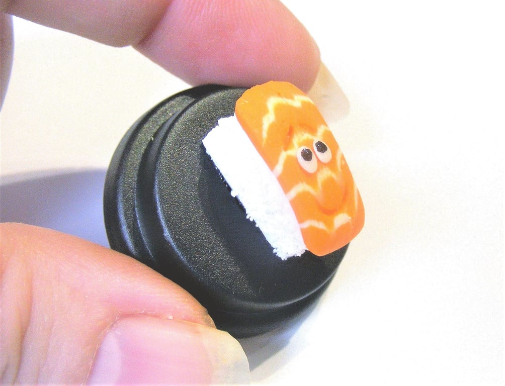 Pet Sushi, Sushi gift, Sushi slice, Nigiri sushi, Gift for cook 