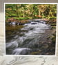 Photographic Greetings Card - River Walkham at Grenofen 