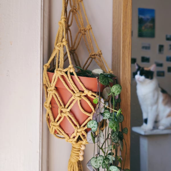 Medium Size Macrame Plant Hanger