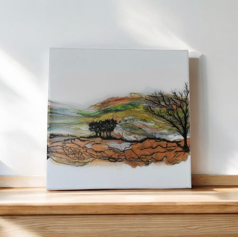 Autumnal Northumberland Hills trees 