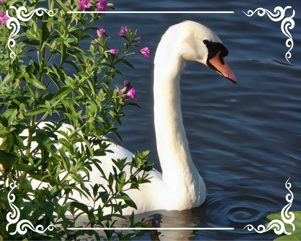 Swan Behind Flowers Greeting Card A5
