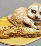 Single Meerkat and Log - Image 6