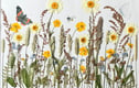 Pressed Flower Framed Art